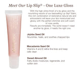 The Lip Slip® Gloss